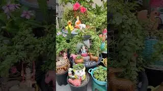 Miniature Garden Decor Ideas #miniaturegarden #jadeplant #topiary #plants #jadetopiary