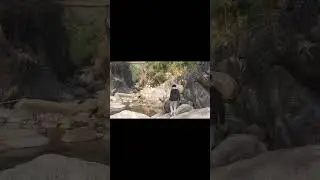 #events #travel #short #youtubeshorts #rootbridge WAH MAYOR
