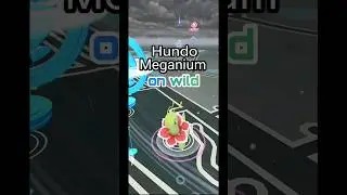 catching a hundo Pokemon on wild#shorts #shortsfeed #pokemon #pokemongo #legendary