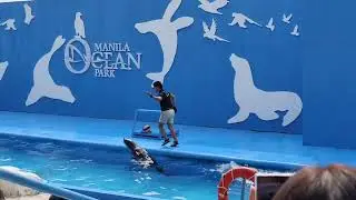 Океанский парк Манила 2026, часть 2