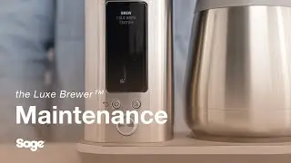 the Luxe Brewer&trade; | Learn how to descale your drip coffee maker | Sage Appliances ME