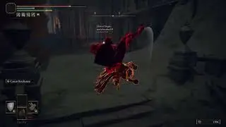 Rune Level 30 Invasions with Octo-Monk!