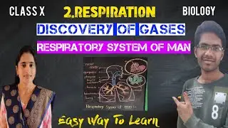 01 Respiration | Respiratory System of Man | Respiratory gases | Pushpalatha Mam | Sukumar Sir