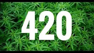 Young Policja ft. Wierzbicki - 420 (Teledysk) (Prod.Oakerdidit)