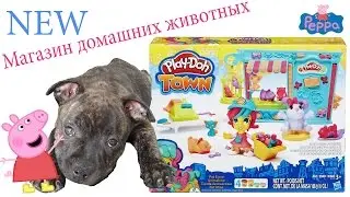 Животные. Магазин домашних животных Play-Doh Town. Ирина со свинкой Пеппой учат домашних животных