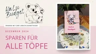 Sparen für alle Töpfe | 1. Runde im Resteposten Binder mit 205€ Budget | 12/2024 | #umschlagmethode