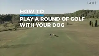 How to Play a Round with Your Dog