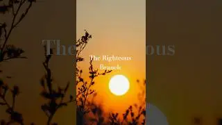 The Righteous Branch