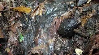 Ambient Television: Meditation Video - Stephens Creek