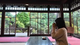 a nostalgic corner of Tokyo｜Shibamata