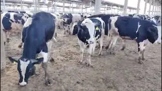 ١ فبراير ٢٠٢٦