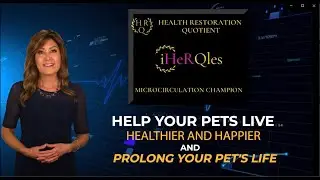 IHeRQles animals - Help your pets live healthier and happier and prolong their lives