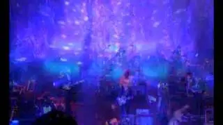 The Decemberists: A Short Fazed Hovel Tour