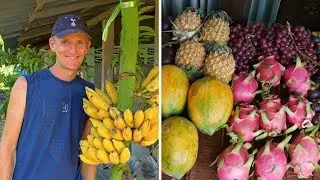 Top 7 Myths About Sugar, Fruit And Fructose ... Debunked!