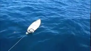 SURFSAFE  (dispositif r&eacute;pulsif anti requin)