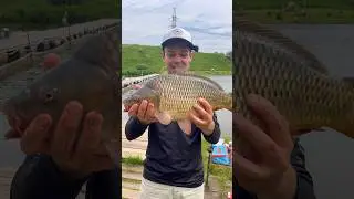 Идеальная оснастка на карпа #рыбалка #фидер #карп