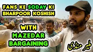 MAZEDAR BARGAINING at Malir Cow Mandi 2022 | Part 2 | Fans Ke Soday Ki Koshish Cattle Market Karachi
