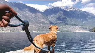 Little Pine: Sustainable and Ethical Pet Apparel for adventures with dogs