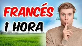 BASES DEL FRANC&Eacute;S  😴 Domina lo B&aacute;sico en Solo 1 Hora