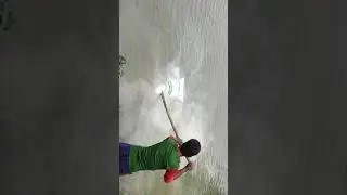 Traditional Liming in fish pond.