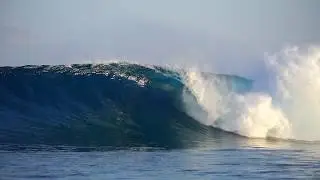 SURFING PERFECT WAVES in the Maldives | Niyama Private Islands | Luxury Surf Resort