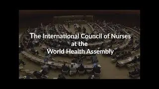 What does ICN do at the World Health Assembly? Explainer