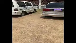 AI Plate Vision