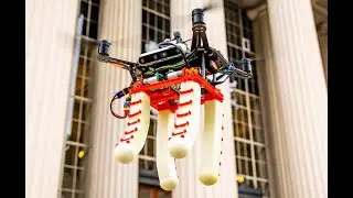 High-speed aerial grasping using a soft drone with onboard perception