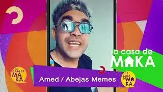 Abejas Memes cuenta TODO sobre sus bromas telefónicas al consejo de estado.