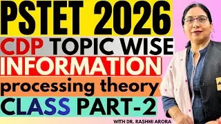 Information Processing Theory | Child Development and Pedagogy | PSTET CDP | CDP PSTE Paper 1