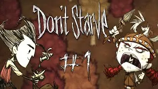 [GEJMR] Don't Starve Together - ep 1 - Začátek našeho dobrodružství!
