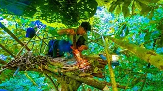 Solo survival CAMPING. Squirrel TRAP, CATCH and COOK. High Tree Survival Shelter - DAY 1