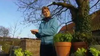 potgrond groenten en kruiden2