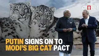 Russia Joins PM Modi&rsquo;s Big Cat Alliance | 7 Endangered Big Cats to Get Global Protection Plan