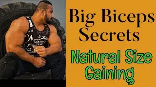 Natural Muscle Building Best Supplements
