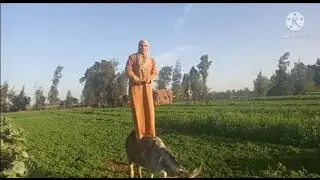😂 هههههه تعرفو تعملو كده هههه 💪 متنسوش الايك والاشتراك في القناة