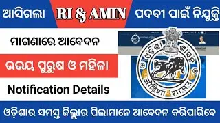 RI & AMIN Recruiment 2020 ll Odisha Job 2020 ll RI & AMIN Job Vacancy odisha ll Latest Job Vacancy l