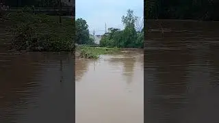 Singhpur Road Ripta Bridge Bargi colony