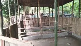 এখন    low budget pig farm