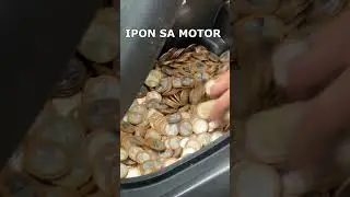 BENTENG IPON  sa Motor