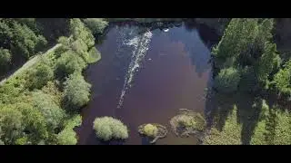 Grizedale Forest - Lake District