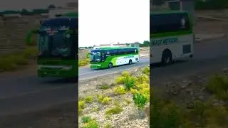 Al Hadi movers💚#shorts #shortsviral #shortvideo #shortsfeed
