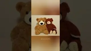 Teddy bear and Roosevelt #history #malayalam #gk #gkforkids #baby #teddybear #toys