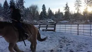 Mounted Archery