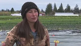 Community Supported Agriculture at Gresham&rsquo;s Good Rain Farm