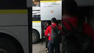 Elisa on Duty‼️ Malang-Jakarta Cititrans #busakap #busindonesia #cititrans #shorts #shortvideo