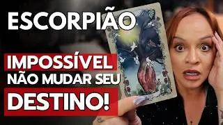ESCORPI&Atilde;O FEVEREIRO 2026 - A ESPIRITUALIDADE D&Aacute; SUA RESPOSTA ABRE PORTAS PARA UMA NOVA VIDA!