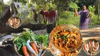 सालों साल चलने वाला चटपटा मूली गाजर हरी मिर्च का अचार/CARROT RADISH PICKLE RECIPE#marybarlavloga