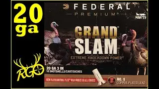 Federal Grand Slam 20 gauge Turkey Load Review | Shotshell Test | RGO #234