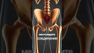 Турникет узловой кровоостанавливающий ТУК #тук #sam #tq
